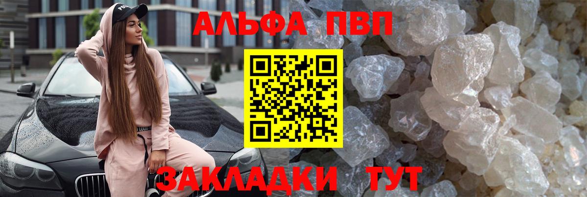 A PVP СК Вологда